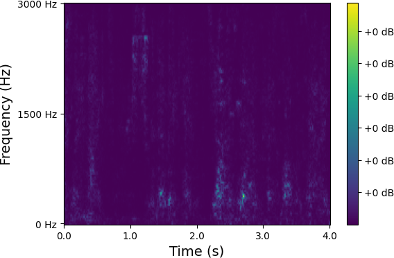 Spectrum 8